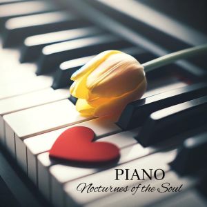 Calming Piano Music Collection的專輯Nocturnes of the Soul (Piano Reflections)