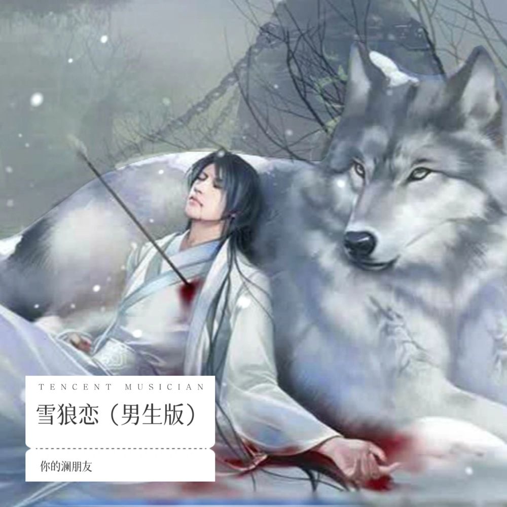 雪狼恋 (cover: 木目星) (Live)