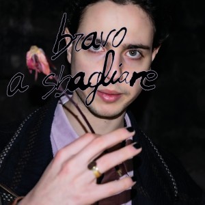 Listen to Bravo a sbagliare song with lyrics from Bosco
