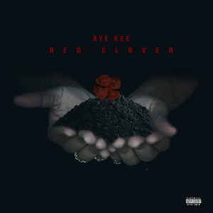 Listen to No Checks (Explicit) song with lyrics from Aye Kee