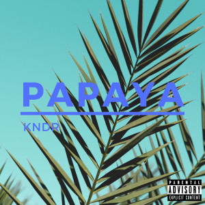 อัลบัม Papaya (Explicit) ศิลปิน KNDR