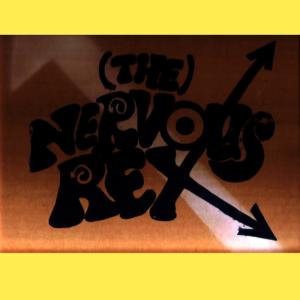 ดาวน์โหลดและฟังเพลง You Got Me Good พร้อมเนื้อเพลงจาก The Nervous Rex