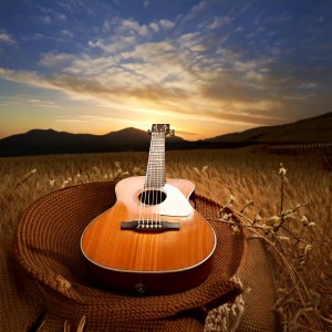 default playlist img