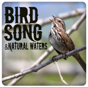 ดาวน์โหลดและฟังเพลง Evening in the Forest พร้อมเนื้อเพลงจาก Outside Broadcast Recordings