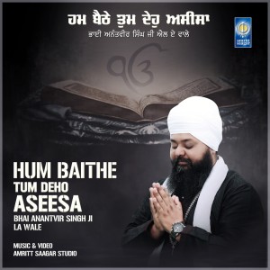 Album Hum Baithe Tum Deho Aseesa from Bhai Anantvir Singh Ji LA Wale