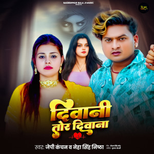 Album Diwani Tor Diwani from Jp Kanchan