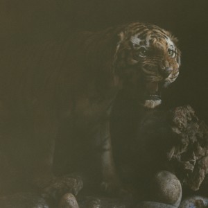 ดาวน์โหลดและฟังเพลง Alfresco พร้อมเนื้อเพลงจาก Submerse