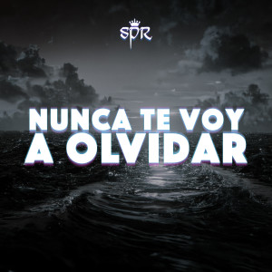 Album Nunca Te Voy a Olvidar from San Pascualito Rey