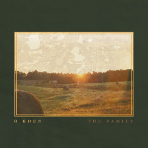 Listen to You Are Home Now song with lyrics from The Family