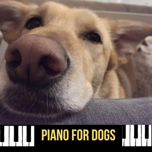 Piano for Dogs的專輯Piano for Dogs