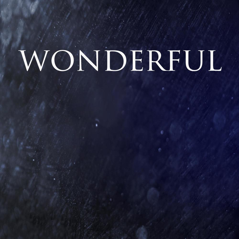 Wonderful (with Avix)