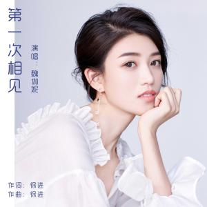 Dengarkan Di Yi Ci Xiang Jian lagu dari 魏伽妮 dengan lirik