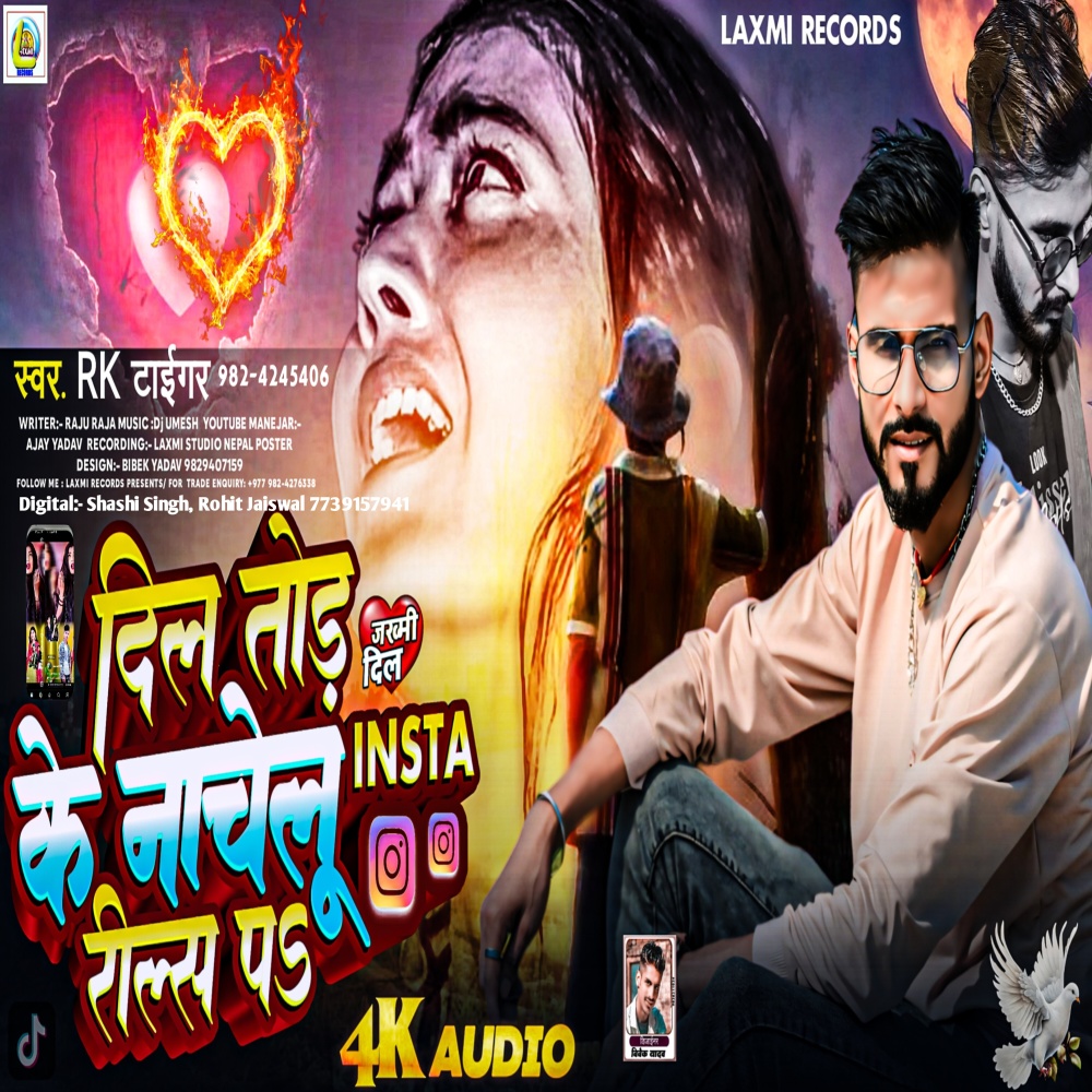 Dil Tod Ke Nachelu Insta Reels Par (Sad)