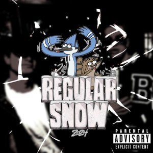 Listen to Regular Snow (Explicit) song with lyrics from Skippern