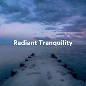 Album Radiant Tranquility oleh Kundalini