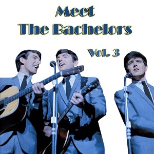 Meet The Bachelors, Vol. 03