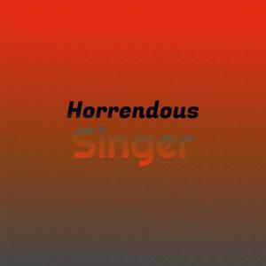 Various的专辑Horrendous Singer