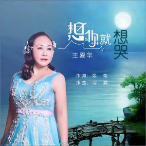 收聽王愛華的想你就想哭(DJ何鵬版) (完整版)歌詞歌曲