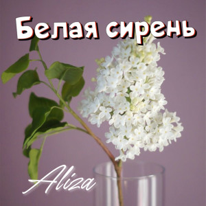 Album Белая сирень oleh Aliza