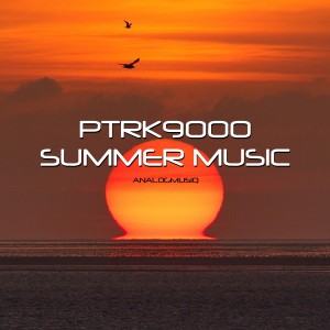 Listen to Telemark Commander (Original Mix) song with lyrics from ptrk9000