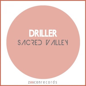 Listen to Lost Souls song with lyrics from Driller