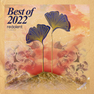 Various Artists的专辑Best of 2022 (Extended Mixes)