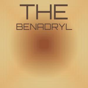 Various Artists的專輯The Benadryl