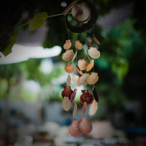 Album Wind Chimes Sounds for Zen and Yoga from 