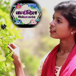 Album Karandil Pikel Karand from 