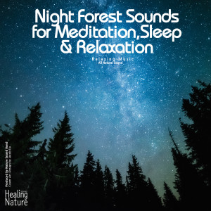 Night Forest Sounds for Meditation, Sleep & Relaxation (Relaxing Muisc,White Noise,Insomnia,Deep Sleep,Meditation,Concentration,Lullaby,Prenatal Care,Healing,Memorization,Yoga,Spa) dari Nature Sound Band