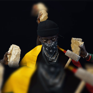 Album Gatsa Gatsa (#Freesenegal) (Explicit) from 
