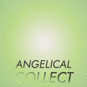 Various Artists的專輯Angelical Collect