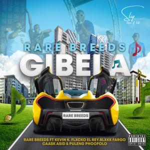 ดาวน์โหลดและฟังเพลง GIBELA (feat. Kevin K, Flxcko El Rey, Blxkk Fargo, Caask Asid & Puleng Phoofolo) (Explicit) พร้อมเนื้อเพลงจาก Rare Breeds