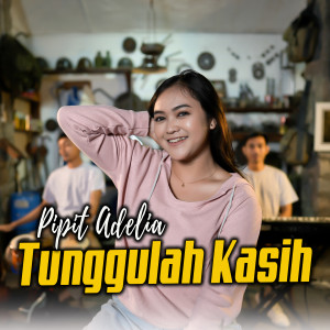 收聽Pipit Adelia的Tunggulah Kasih歌詞歌曲