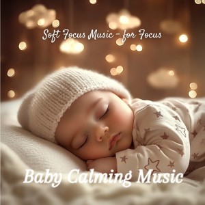 Listen to Ocean Waves for Sleep song with lyrics from Baby Calming Music