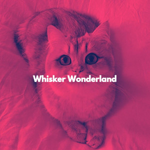 Whisker Wonderland