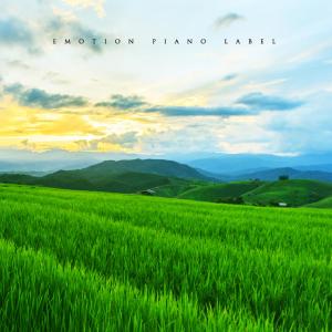 Listen to Dream Forest song with lyrics from Hand-rolled Dolls