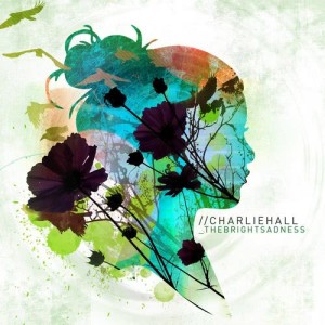 ดาวน์โหลดและฟังเพลง Walk The World พร้อมเนื้อเพลงจาก Charlie Hall