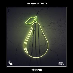 Album Trippin' from DEBRIS