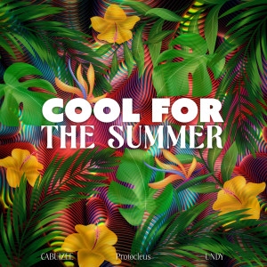 Album Cool For The Summer from 