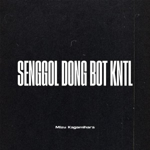 Album SENGGOL DONG BOT KNTL from Mizu Kagamihara