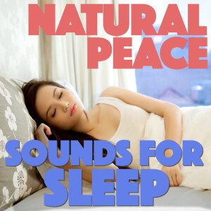 ดาวน์โหลดและฟังเพลง Deep Jungle พร้อมเนื้อเพลงจาก Good Night