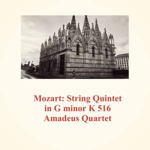 ดาวน์โหลดและฟังเพลง 3. Adagio ma non troppo พร้อมเนื้อเพลงจาก Amadeus Quartet