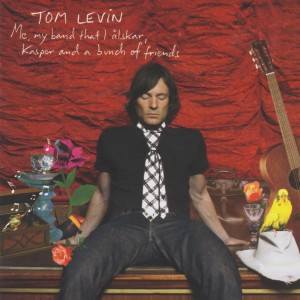 ดาวน์โหลดและฟังเพลง I Thank You พร้อมเนื้อเพลงจาก Tom Levin
