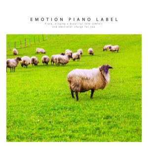 Album New age piano decorating bedding for a good night's sleep from Various Artists