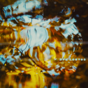 ดาวน์โหลดและฟังเพลง Dry Leaves พร้อมเนื้อเพลงจาก Linus