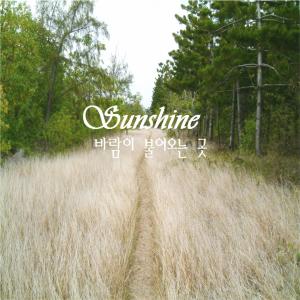 Listen to 바람이 불어오는 곳 song with lyrics from Sunshine