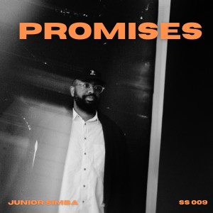 Listen to Promises song with lyrics from Junior Simba