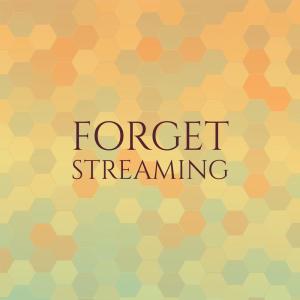 Various Artists的專輯Forget Streaming