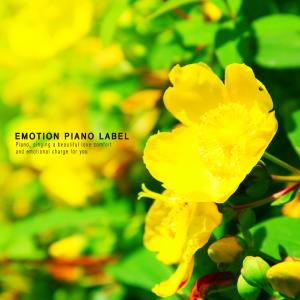 Dengarkan Your name from afar lagu dari Small Boat dengan lirik